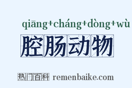 腔肠动物是什么意思的图片